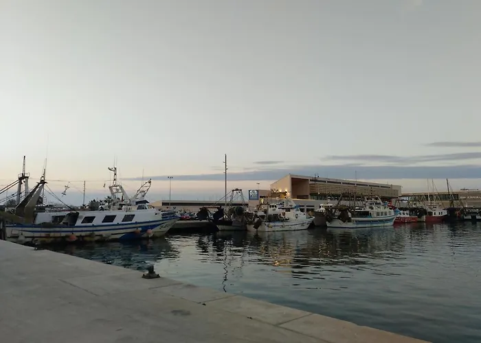 Parchis Con Piscina 德尼亚