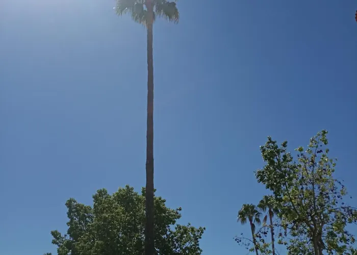 公寓 Parchis Con Piscina 德尼亚