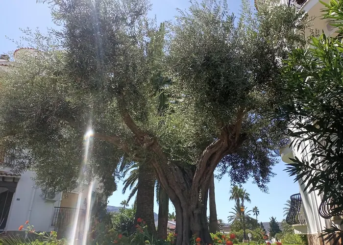 Parchis Con Piscina *